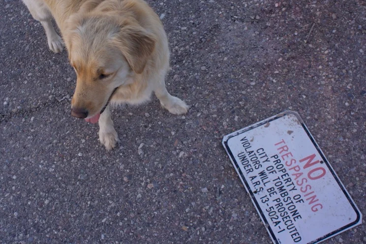 One day, when we're just a couple of desperadoes, Roo and I will sell that sign, our only memory of Tombstone, as scant as the ruins of Charleston.