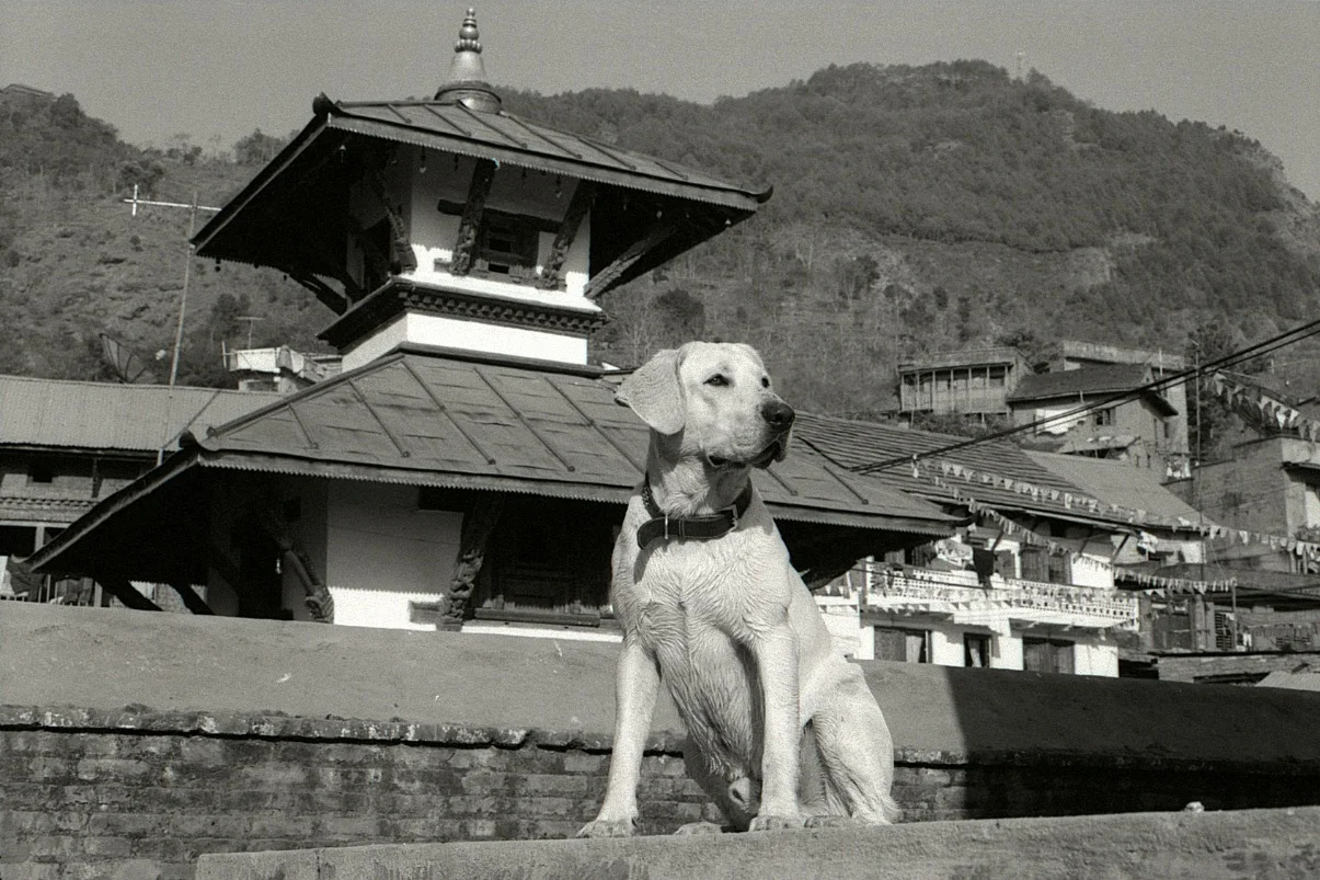 Orville in Nepal at just over a year old. This might be in Gurkha, though I'm not sure.