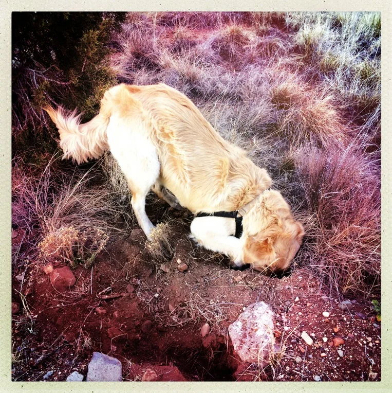 It might have been fast to get here from there if we just tunneled, as Roo would have liked.