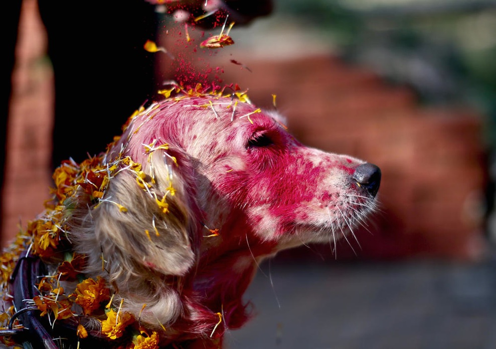 A distant relative of Roo's working the job in Kathmandu