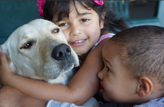 Lily Damji and Benjamin Bergqvist-Patterson show some love to rescue Keiley.