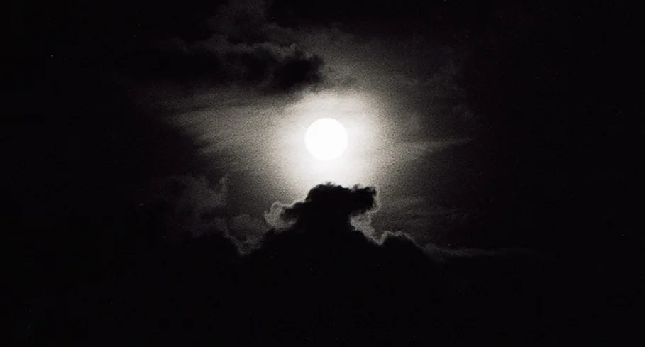 The dog in the clouds over Kathmandu.