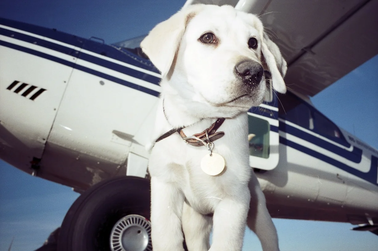Orville near the end of his flying career.