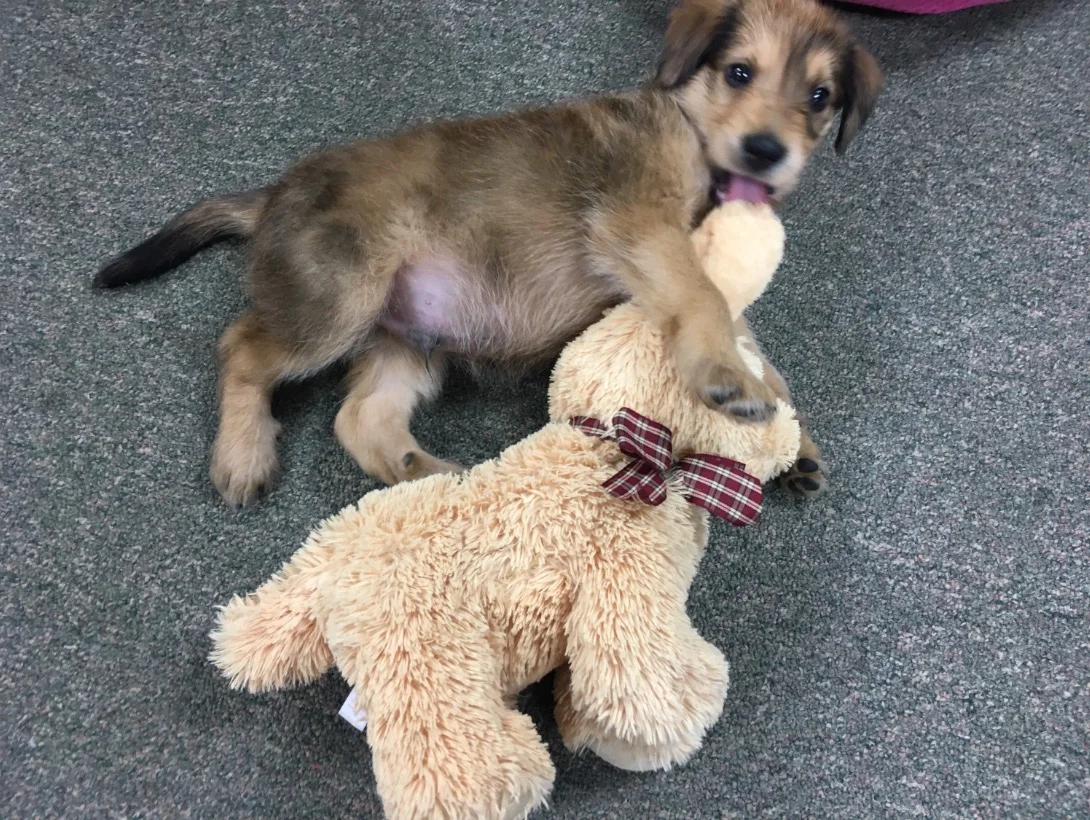 The Puppy settling a dispute with another inmate.