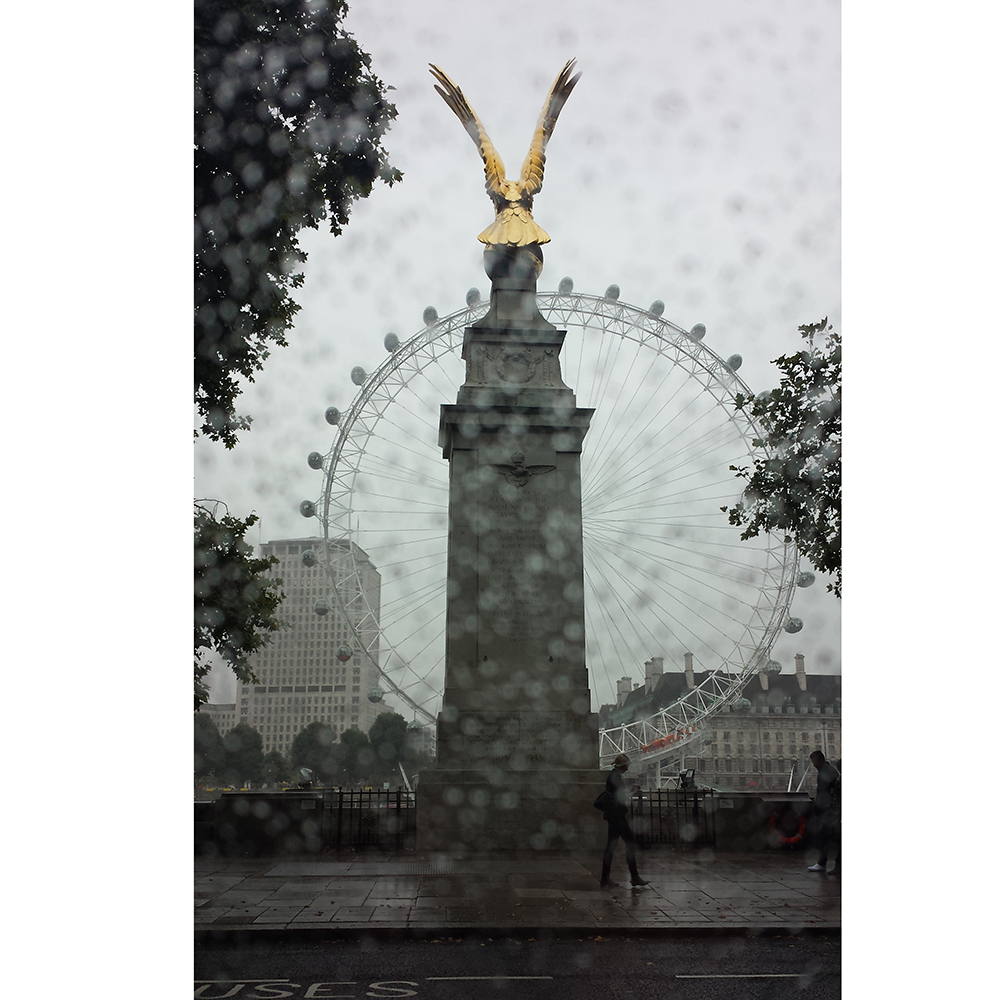 Wrong Side of the Road