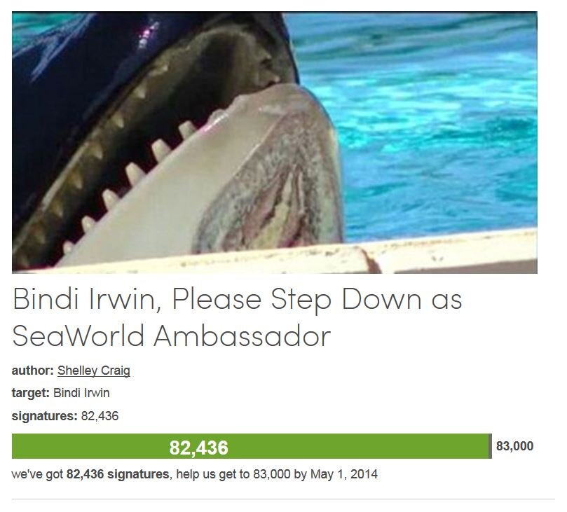 Petition #16: Bindi Irwin, Please Step Down As SeaWorld Ambassador