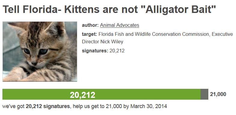 Petition #18: Tell Florida- Kittens Are Not "Alligator Bait"