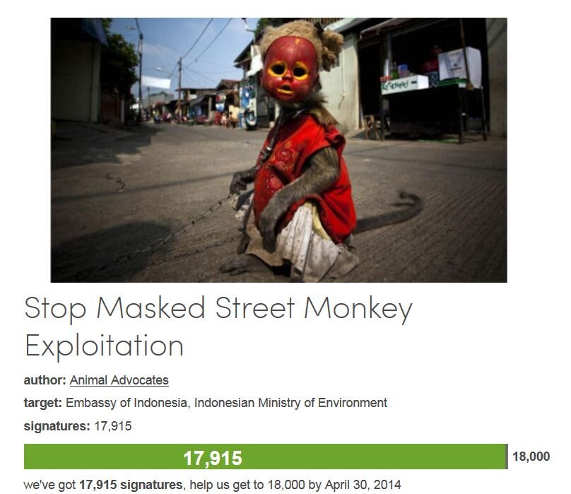 Petition #19 Stop Masked Street Monkey Exploitation