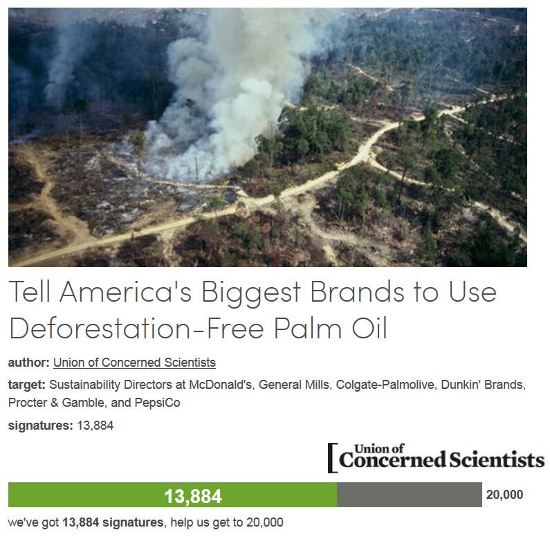 Petition #24: Tell America's Biggest Brands To Use Deforestation-Free Palm Oil