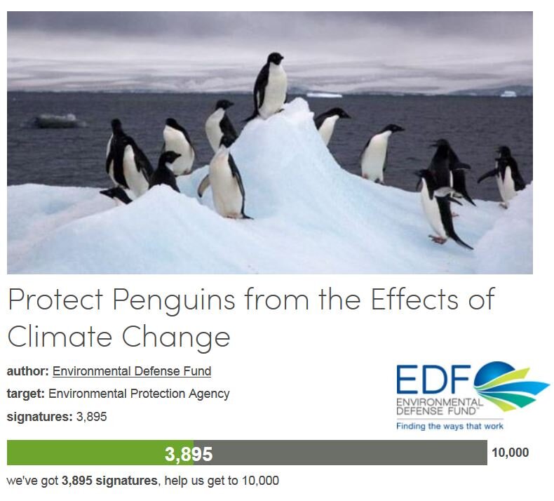 Petition #29: Protect Penguins From The Effects Of Climate Change