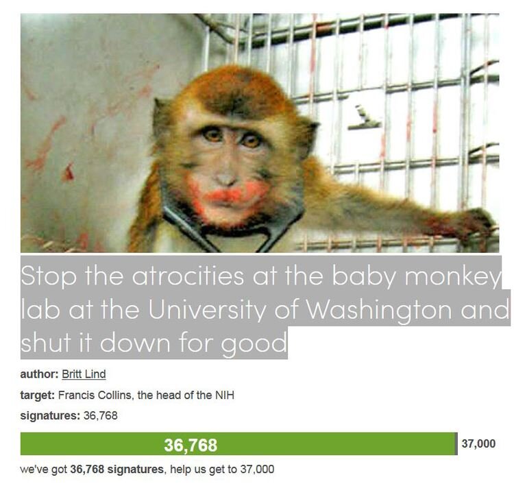 Petition #7: Stop The Atrocities At The Baby Monkey Lab At The University Of Washington And Shut It Down For Good