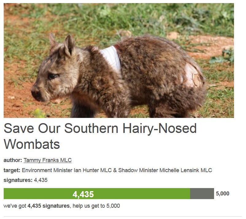 Petition #39: Save Our Southern Hairy-Nosed Wombats