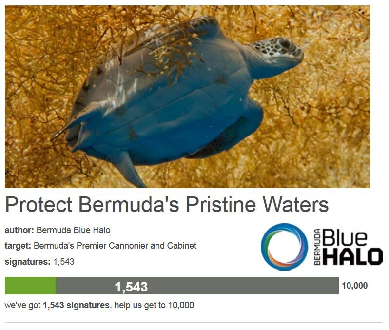 Petition #50: Protect Bermuda's Pristine Waters