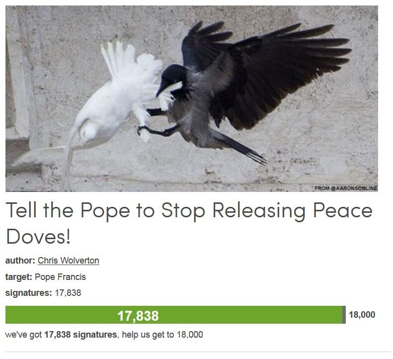 Petition #55: Tell The Pope To Stop Releasing Peace Doves!