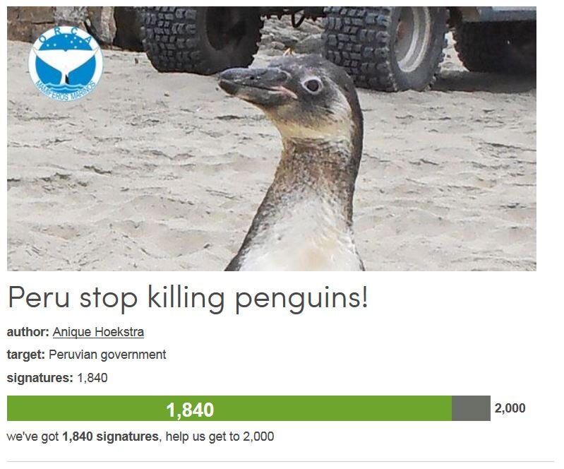 Petition #59: Peru Stop Killing Penguins!