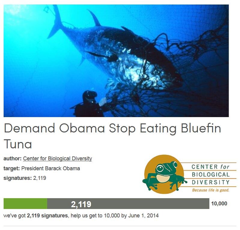 Petition #60: Demand Obama Stop Eating Bluefin Tuna.
