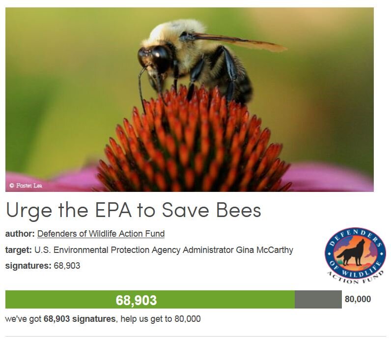 Petition #66: Urge The EPA To Save Bees
