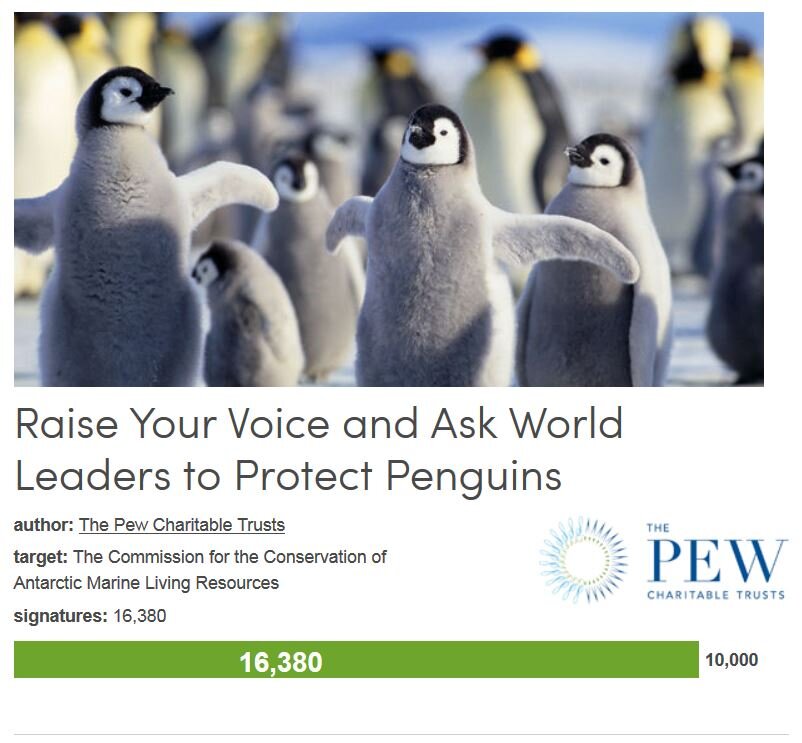 Petition #69: Raise Your Voice And Ask World Leaders To Protect Penguins