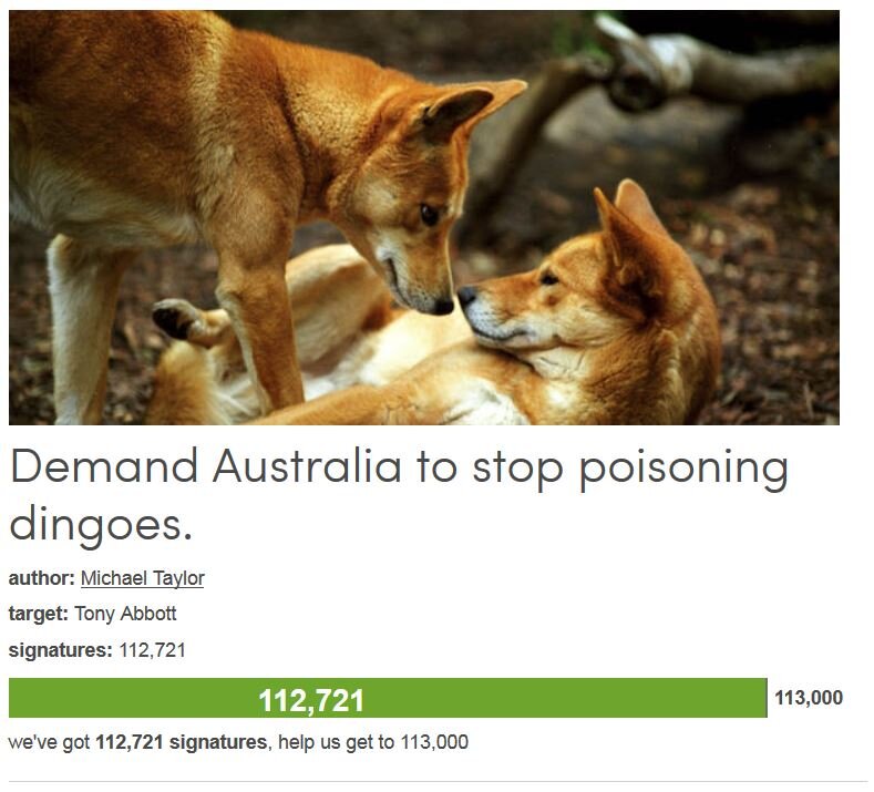 Petition #96: Demand Australia To Stop Poisoning Dingoes.