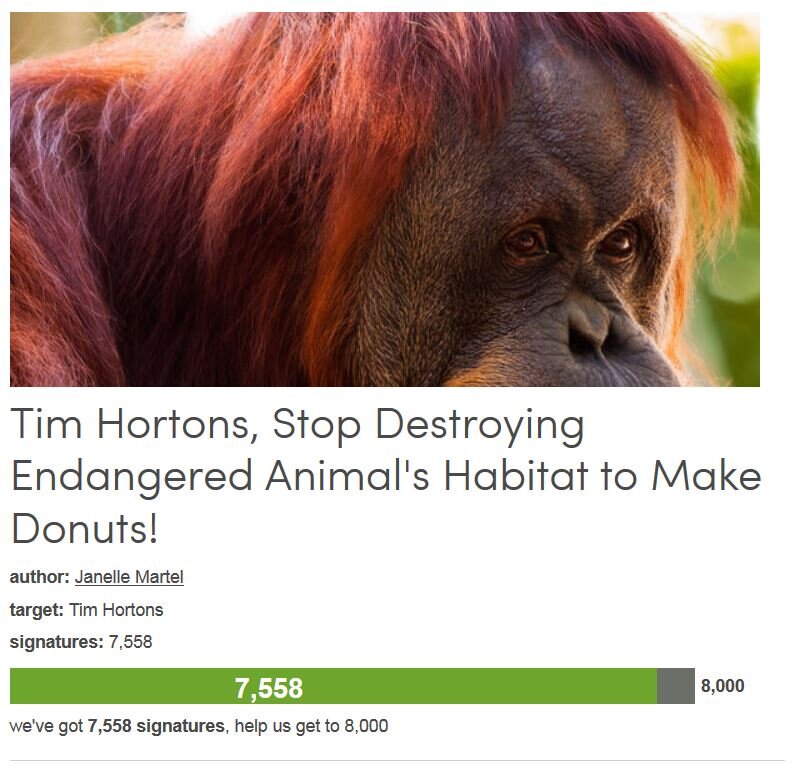 Petition #101: Tim Hortons, Stop Destroying Endangered Animal's Habitat To Make Donuts!