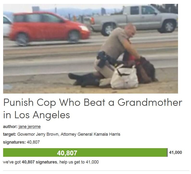 Petition #134: Punish Cop Who Beat A Grandmother In Los Angeles
