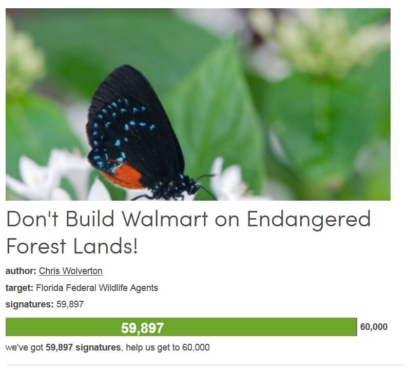 Petition #154: Don't Build Walmart On Endangered Forest Lands!