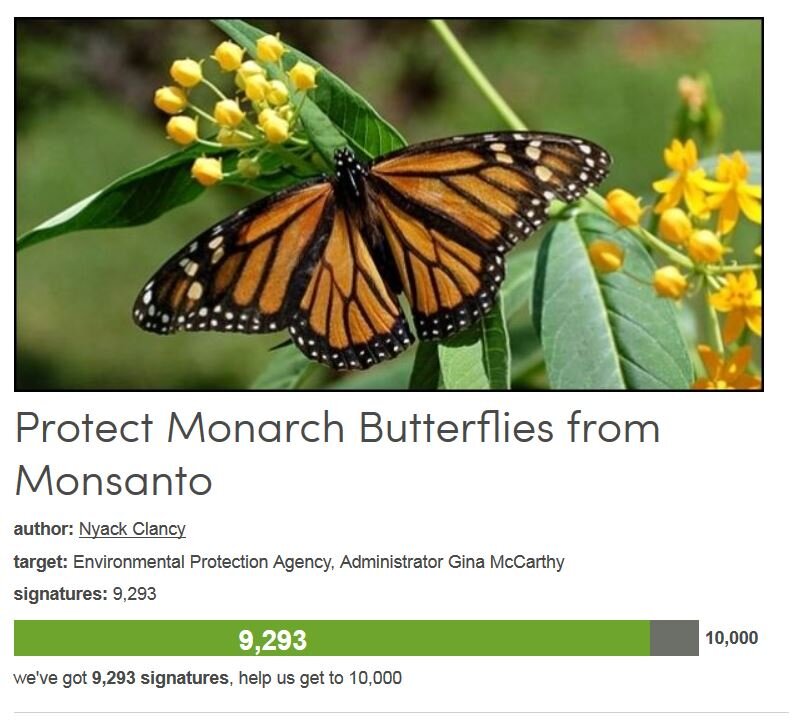 Petition #153: Protect Monarch Butterflies From Monsanto