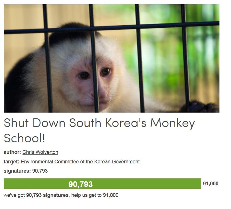 Petition #174: Shut Down South Korea's Monkey School!