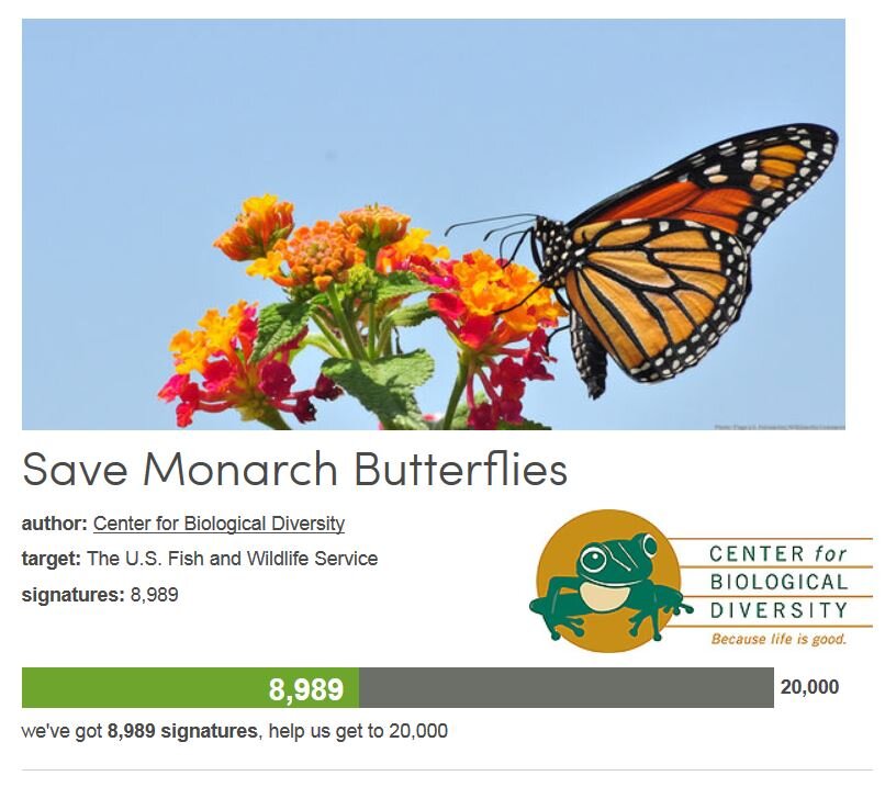 Petition #190: Save Monarch Butterflies