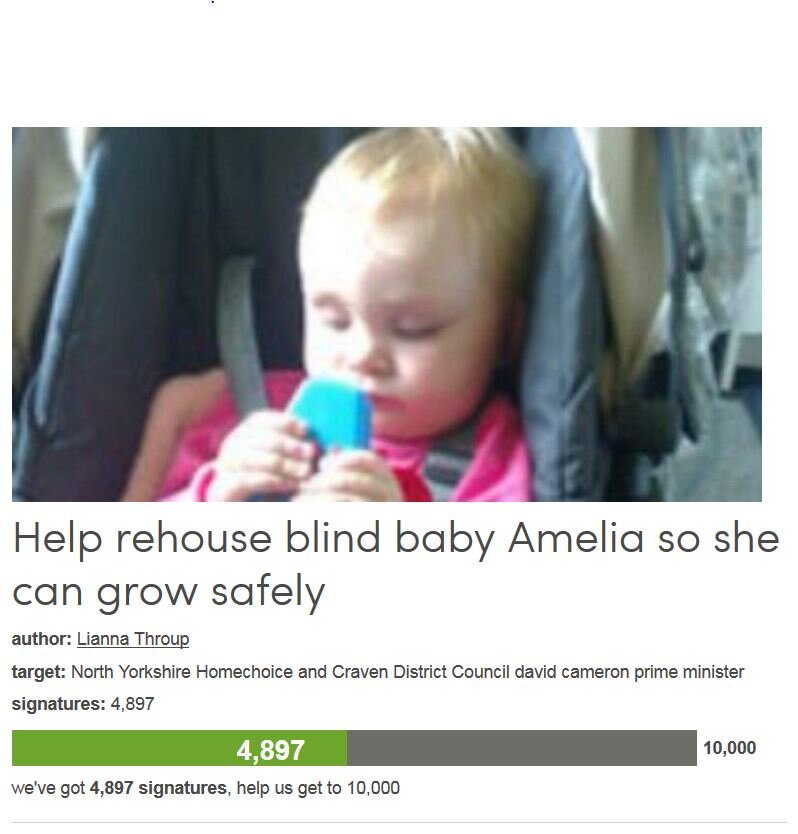 Petition #204: Help Rehouse Blind Baby Amelia So She Can Grow Safely