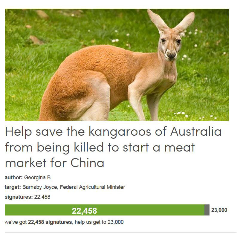 Petition #217: Help Save The Kangaroos Of Australia From Being Killed To Start A Meat Market For China.