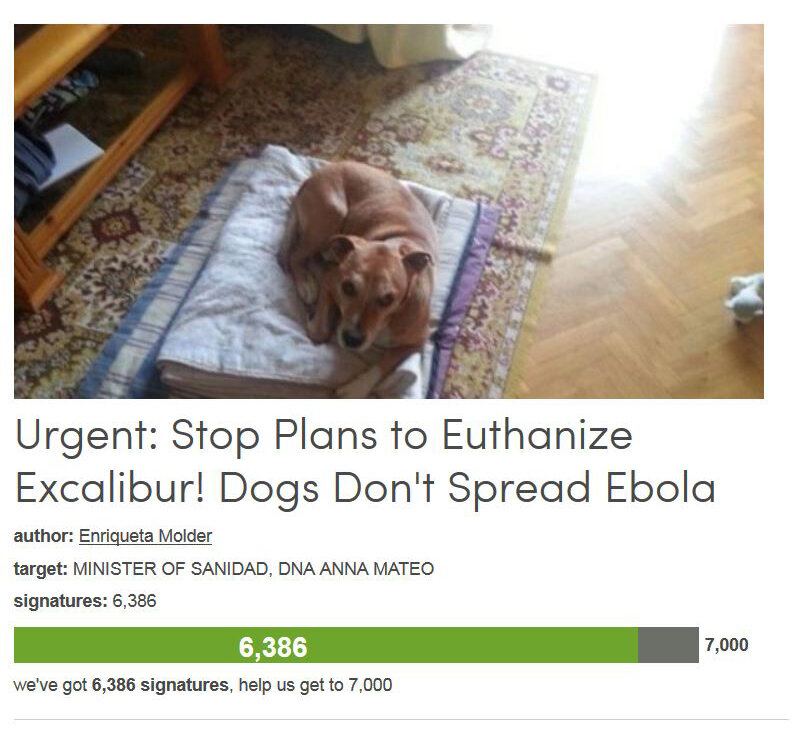 Petition #224: Urgent: Stop Plans To Euthanize Excalibur! Dogs Don't Spread Ebola