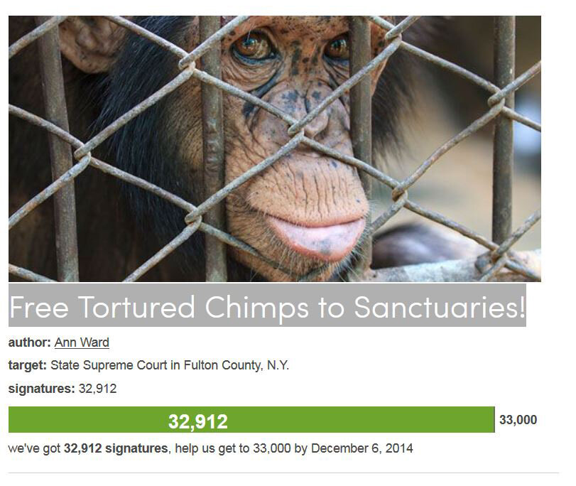 Petition #225: Free Tortured Chimps To Sanctuaries!