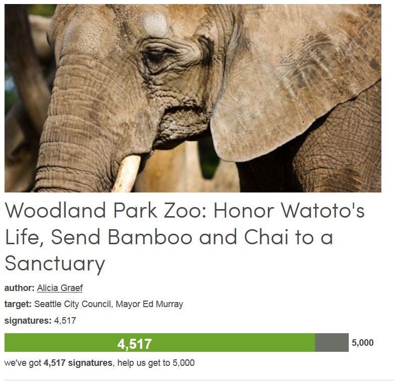 Petition #227: Woodland Park Zoo: Honor Watoto's Life, Send Bamboo And Chai To A Sanctuary