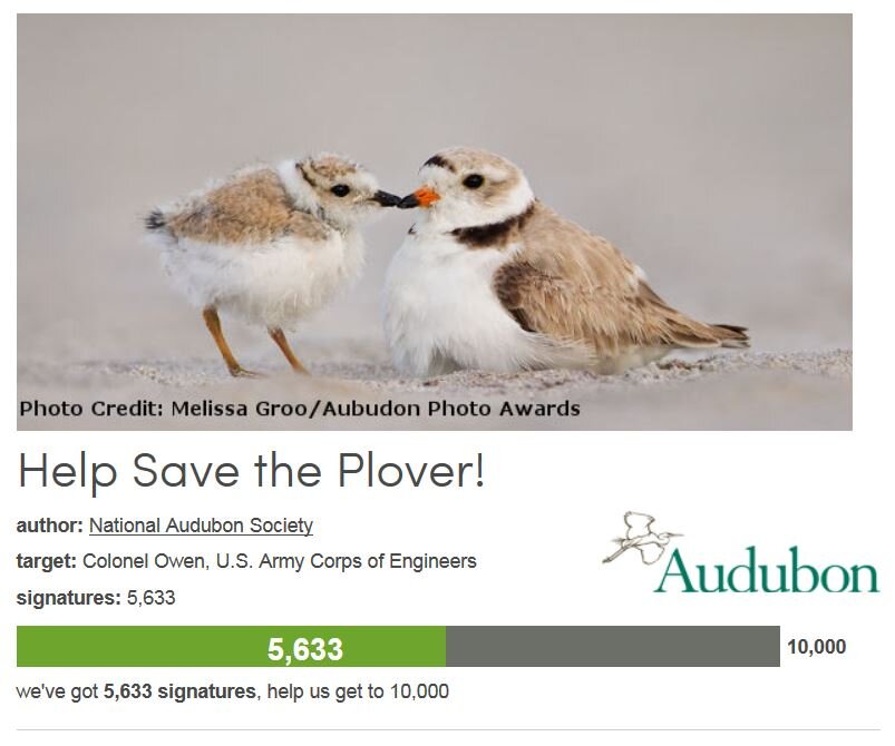Petition #229: Help Save The Plover!