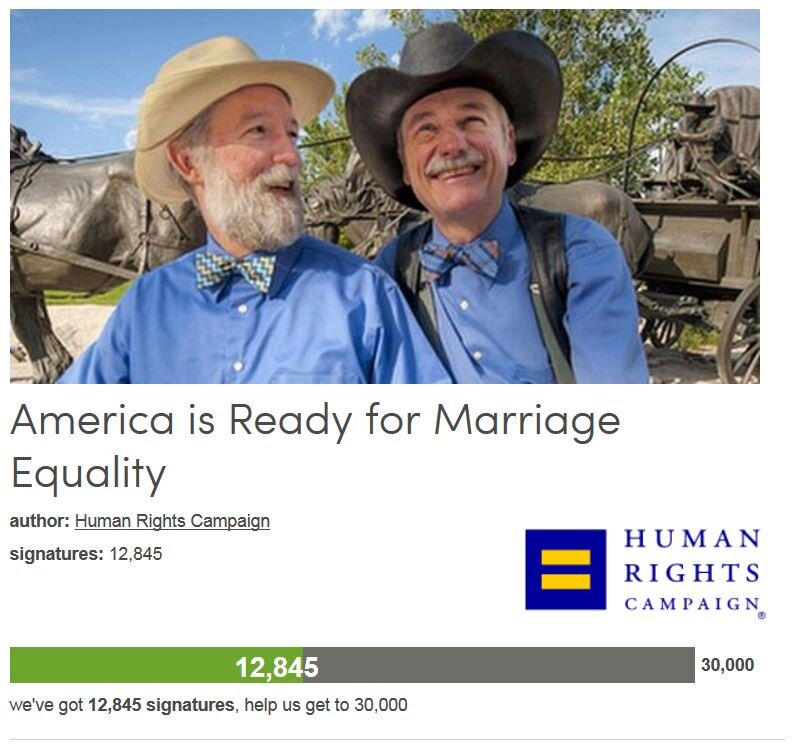 Petition #235: America Is Ready For Marriage Equality