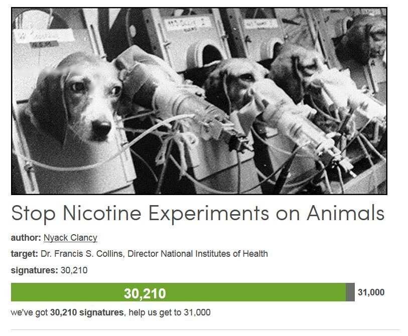 Petition #236: Stop Nicotine Experiments On Animals