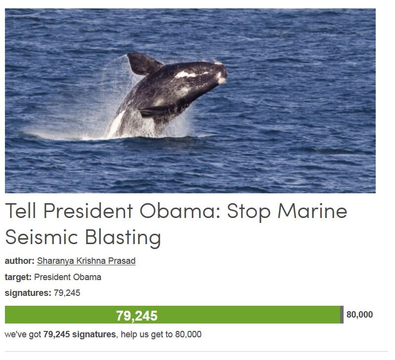 Petition #239: Tell President Obama: Stop Marine Seismic Blasting