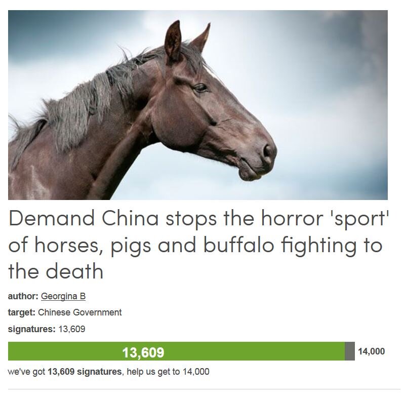 Petition #246: Demand China Stops The Horror 'Sport' Of Horses, Pigs And Buffalo Fighting To The Death