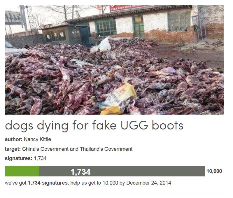 Petition #278: Dogs Dying For Fake UGG Boots
