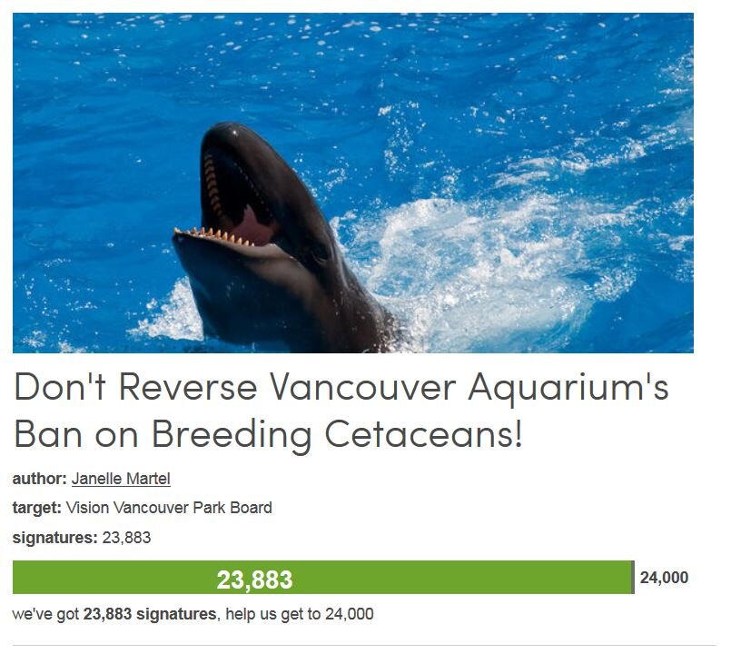 Petition #280: Don't Reverse Vancouver Aquarium's Ban On Breeding Cetaceans!