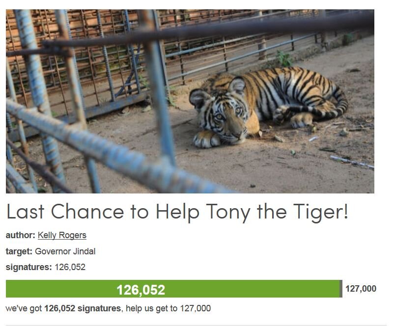 Petition #279: Last Chance To Help Tony The Tiger!