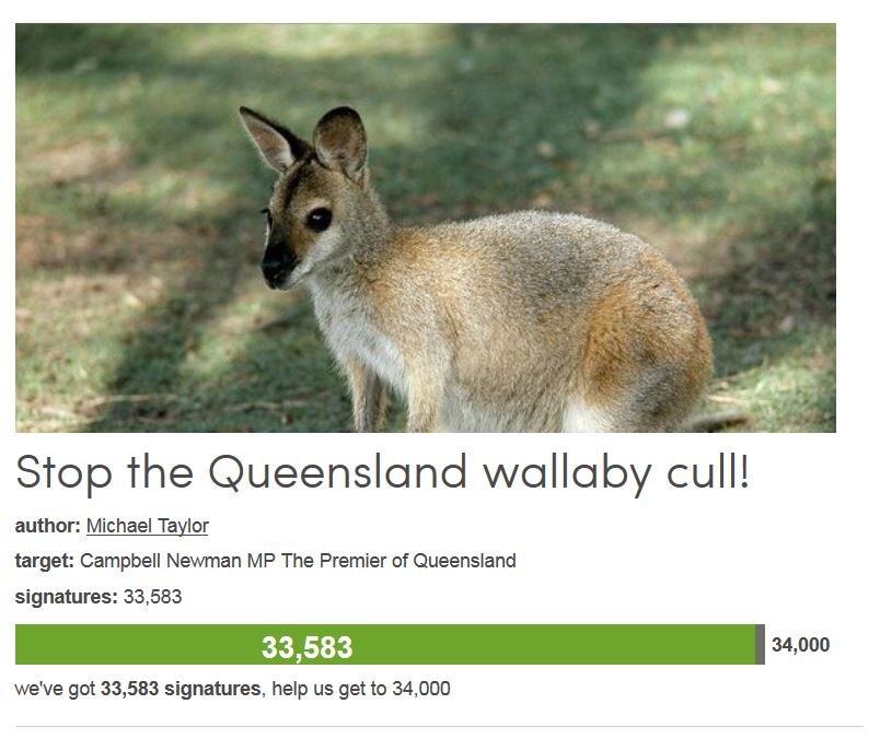 Petition #282: Stop The Queensland Wallaby Cull!