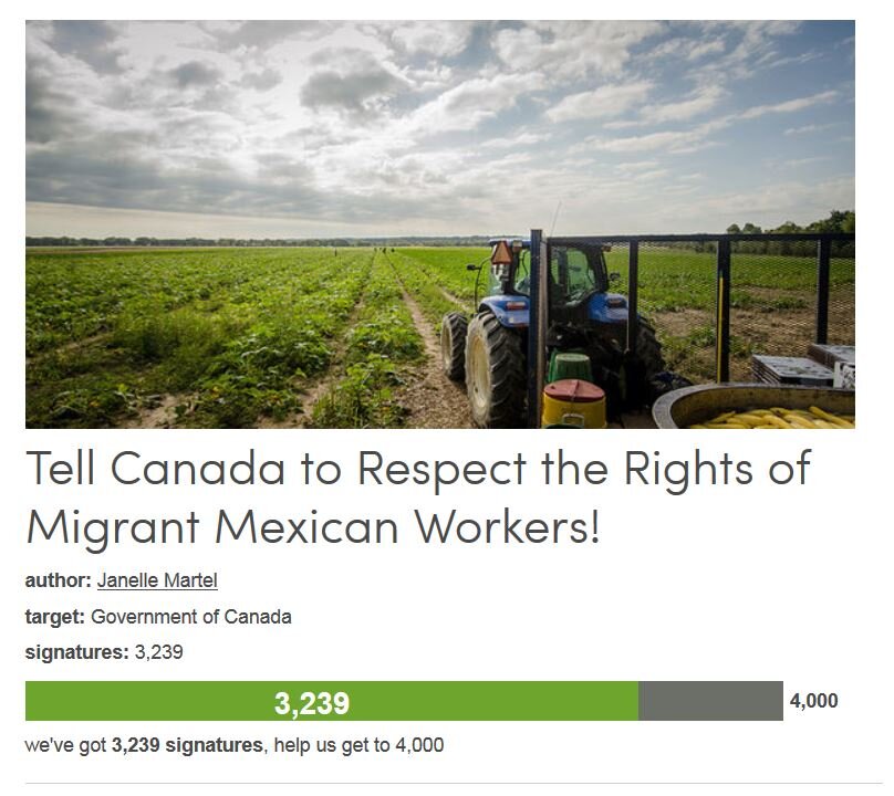 Petition #303: Tell Canada To Respect The Rights Of Migrant Mexican Workers!