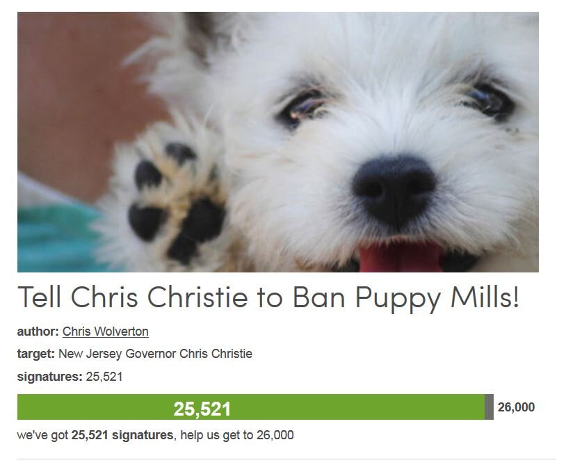 Petition #306: Tell Chris Christie To Ban Puppy Mills!