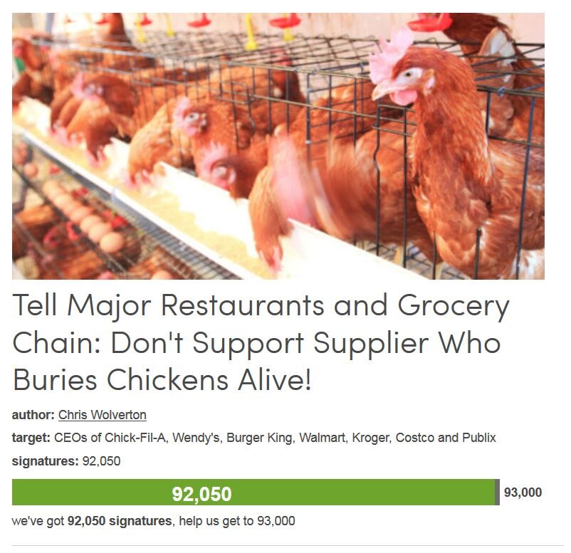 Petition #320: Tell Major Restaurants And Grocery Chain: Don't Support Supplier Who Buries Chickens Alive!