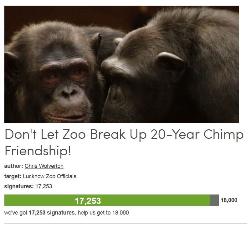 Petition #322: Don't Let Zoo Break Up 20-Year Chimp Friendship!