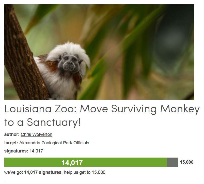 Petition #326: Louisiana Zoo: Move Surviving Monkey To A Sanctuary!