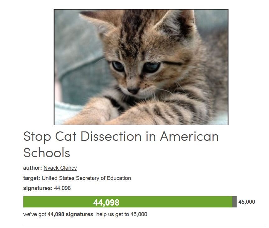 Petition #336: Stop Cat Dissection In American Schools