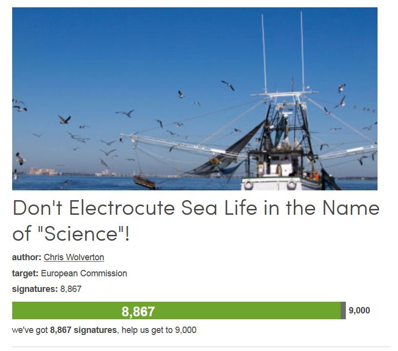 Petition #341: Don't Electrocute Sea Life In The Name Of "Science"!